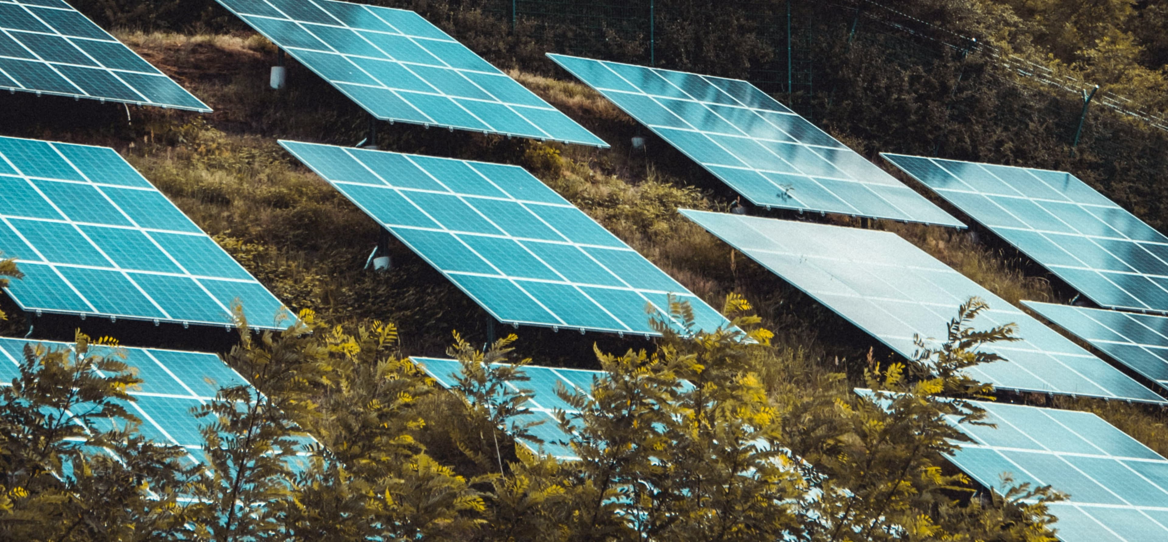 Odnawialne źródła energii