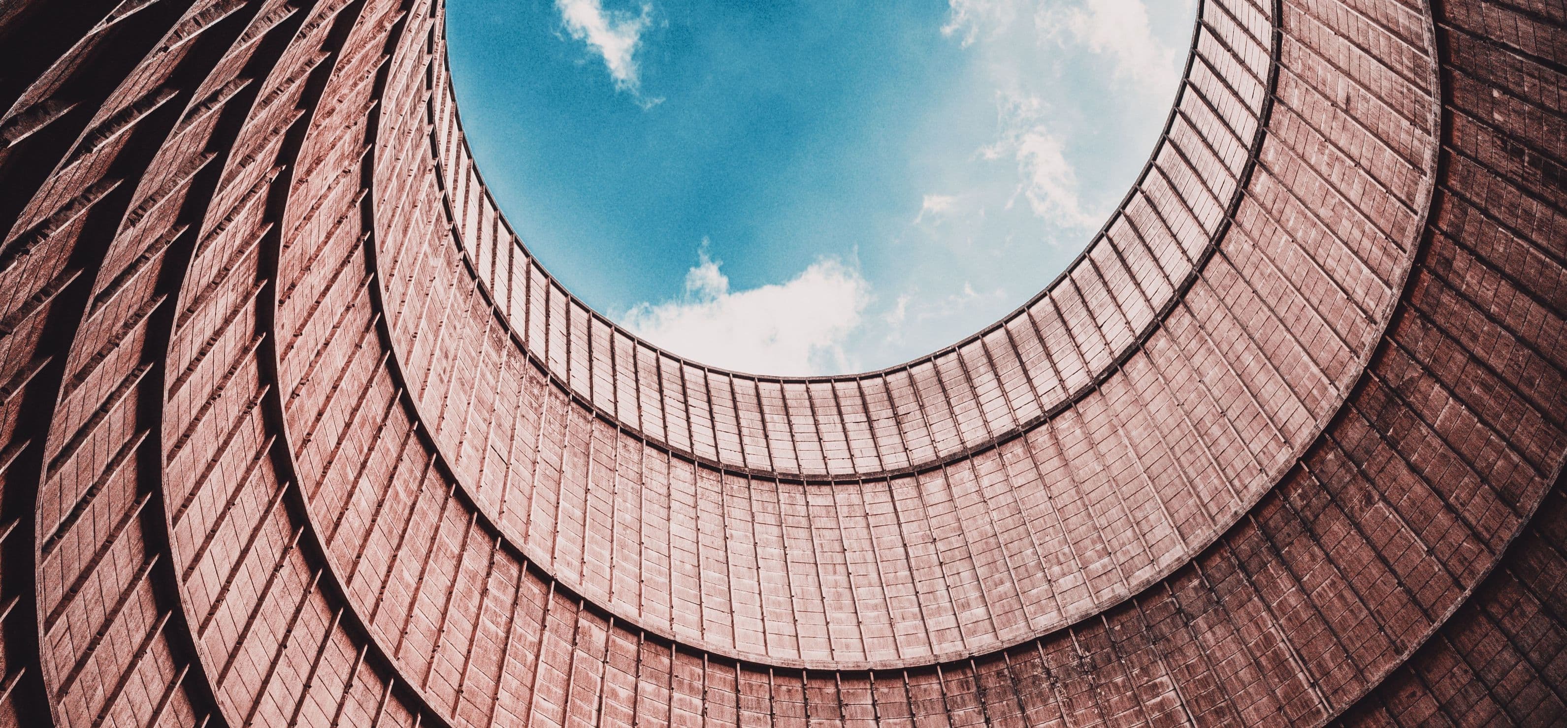 Fot. Pexels