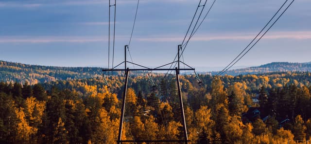 Elektroenergetyka